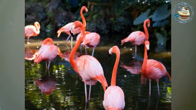 Flamingo Gardens Accessible Excursion