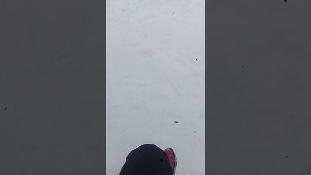 Зима