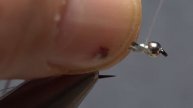 Lightning Bug