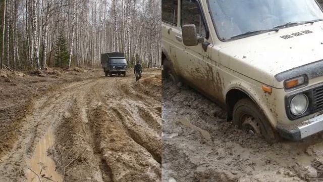 Уазы и Нивы в лесу