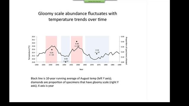 Third Thursday Web Forum: Can forests take the heat? (4-17-14)