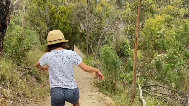 Arthur Seat Summit Cercuit Walk Victoria Australia 2020