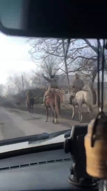 Еще немного отечественных всадников где-то в тыловом районе зоны СВО. Военный Осведомитель