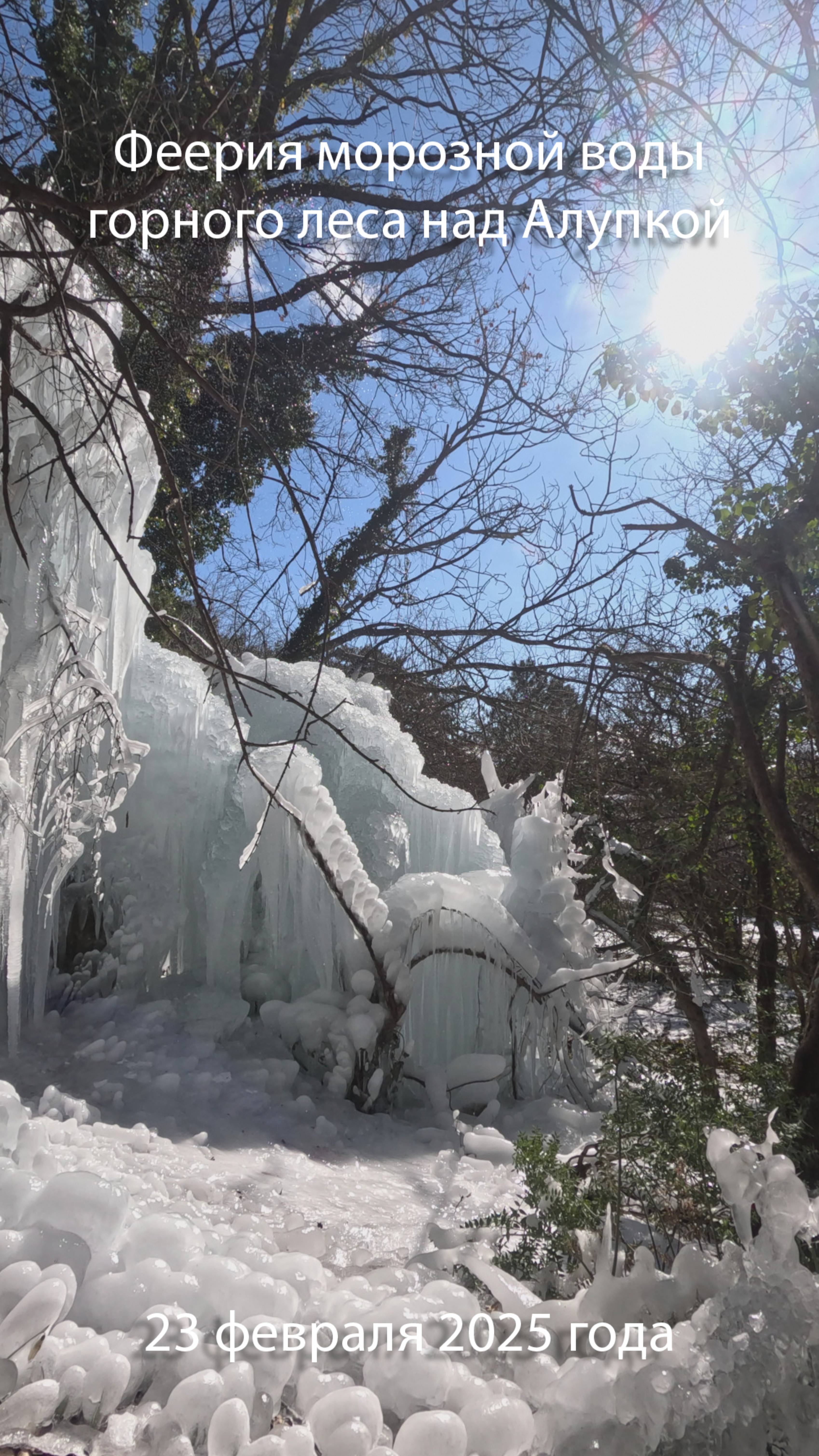 Феерия морозной воды горного леса над Алупкой.
