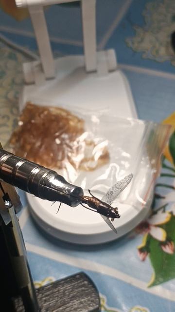 Подëночка.