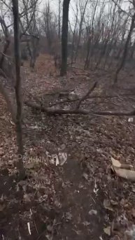 Муляжи, которые использовали ВСУ в попытках нас обмануть. Район Великой Новоселки