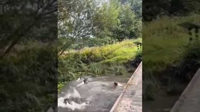 Так выглядит счастье.