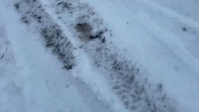 А у нас на ЗИМНЕЙ даче ДОЖДЬ☔️ Завтракаем и за дела🪓🪣