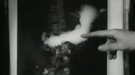 "The Smoke Affect" Found Footage by: Caitlin Doucet