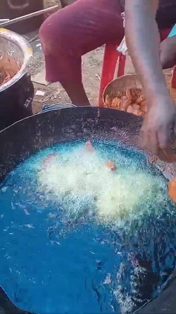 Massive 💯 kg Fish 🐠 Fry