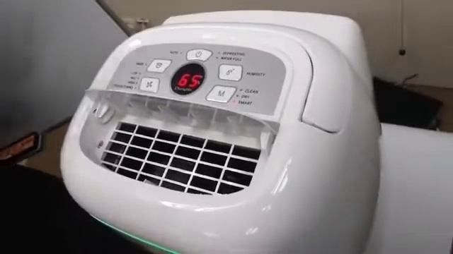 Dehumidifier + AIr Purifier (Lily)