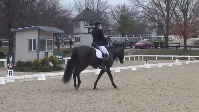 Dante Rubin- Anartz Chanca US Dressage Finals First Level Champion AA 72.5%