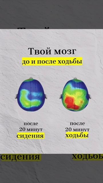 Твой мозг до и после ходьбы