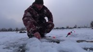 Рыбалка чуть не стало последней.Ловля мирной рыбы.Рыбалка в Астрахани 2025