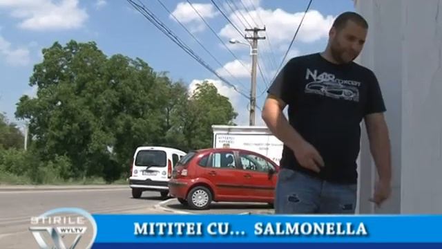 MITITEI CU... SALMONELLA