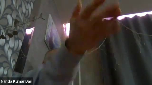 26/02/25 БГ 4.20 - ЕМ Нанада Кумар пр