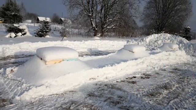 Чистка снега на пасеке, контроль зимовки.