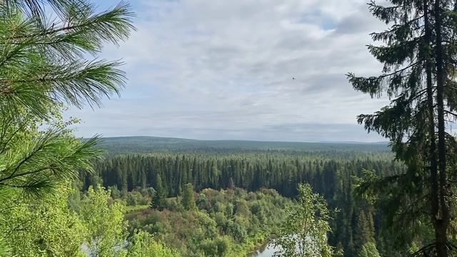 04 - Лиственно-еловая пожарная динамика