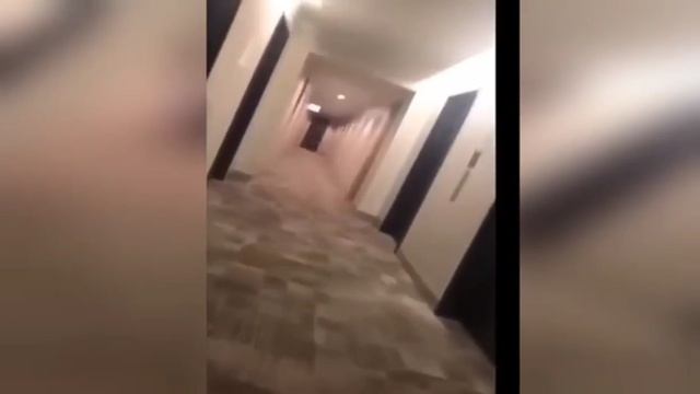 Смешные_Котямбы