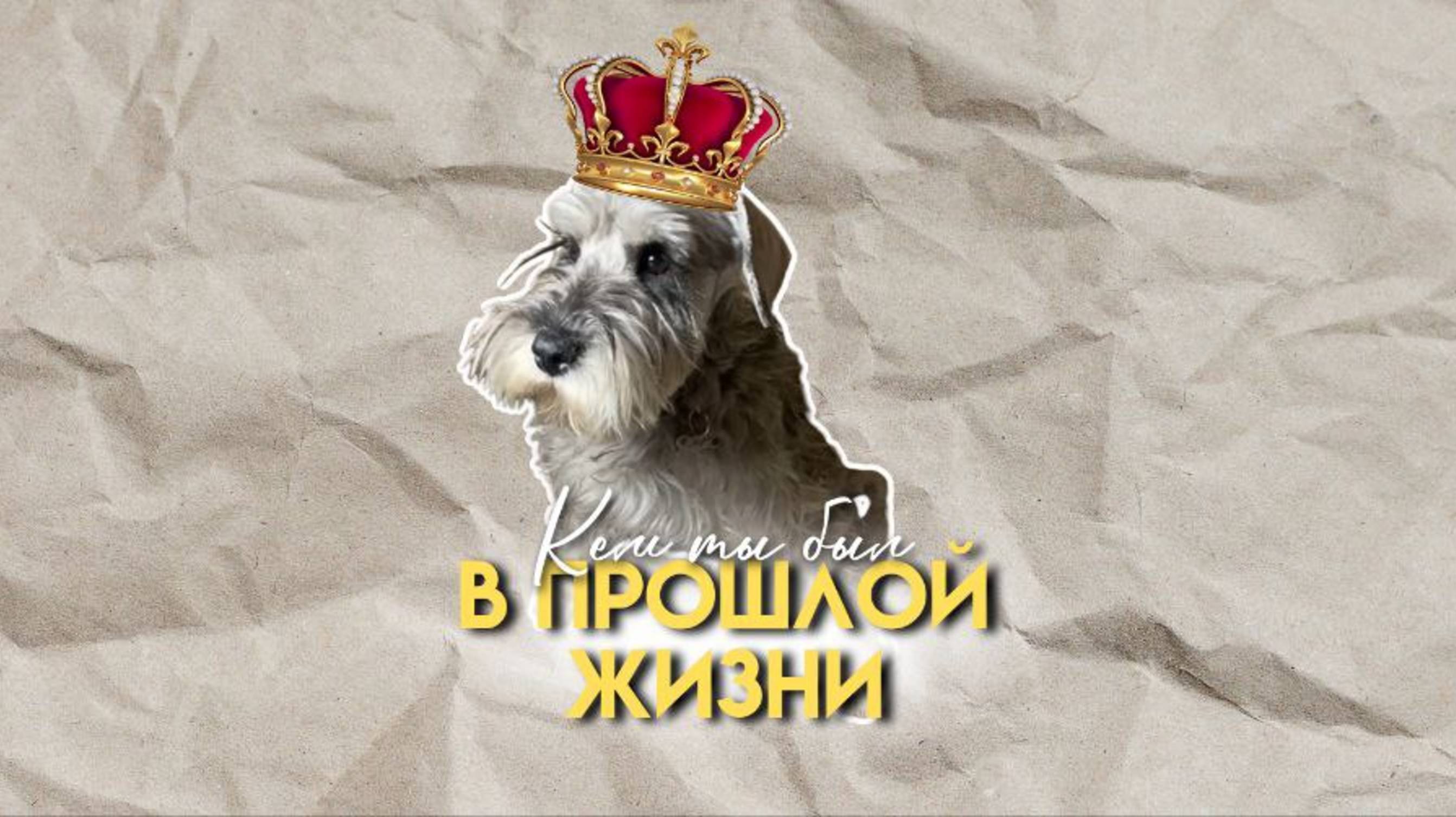 А вы верите в прошлые жизни?