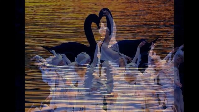 Swan Lake - Pyotr Ilyich Tchaikovsky