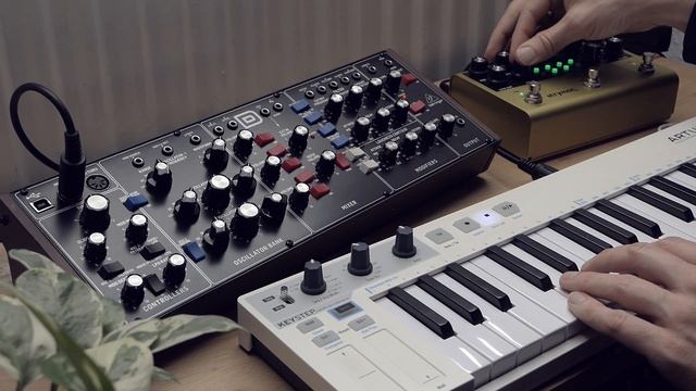 Behringer Model D ~ mini drone patch