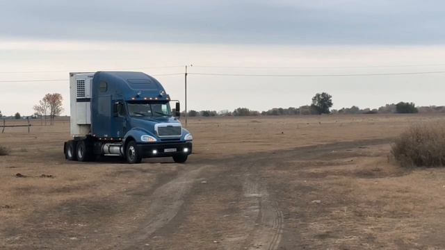 Freightliner Columbia