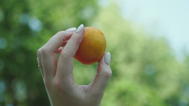 WEDDING FILM// КАТЯ И ДИМА