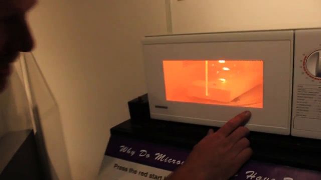 Best Spot in the Microwave? - Smarter Every Day 6