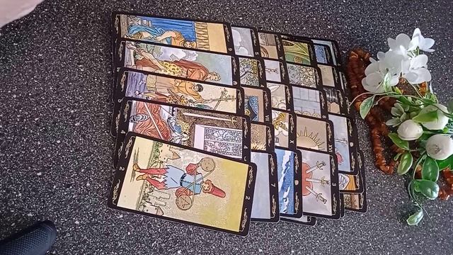 VID_20250227_143611.mp4