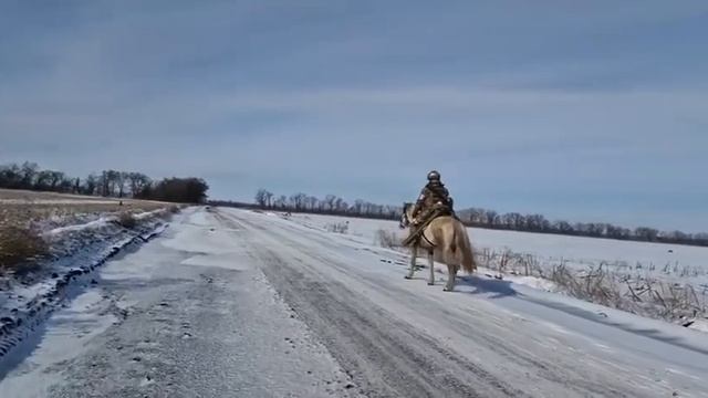 ❗️В бой вступает конница. Где-то в зоне СВО