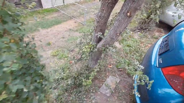 Готовлюсь к зиме, целый день ушло на такой кусочек, уборка