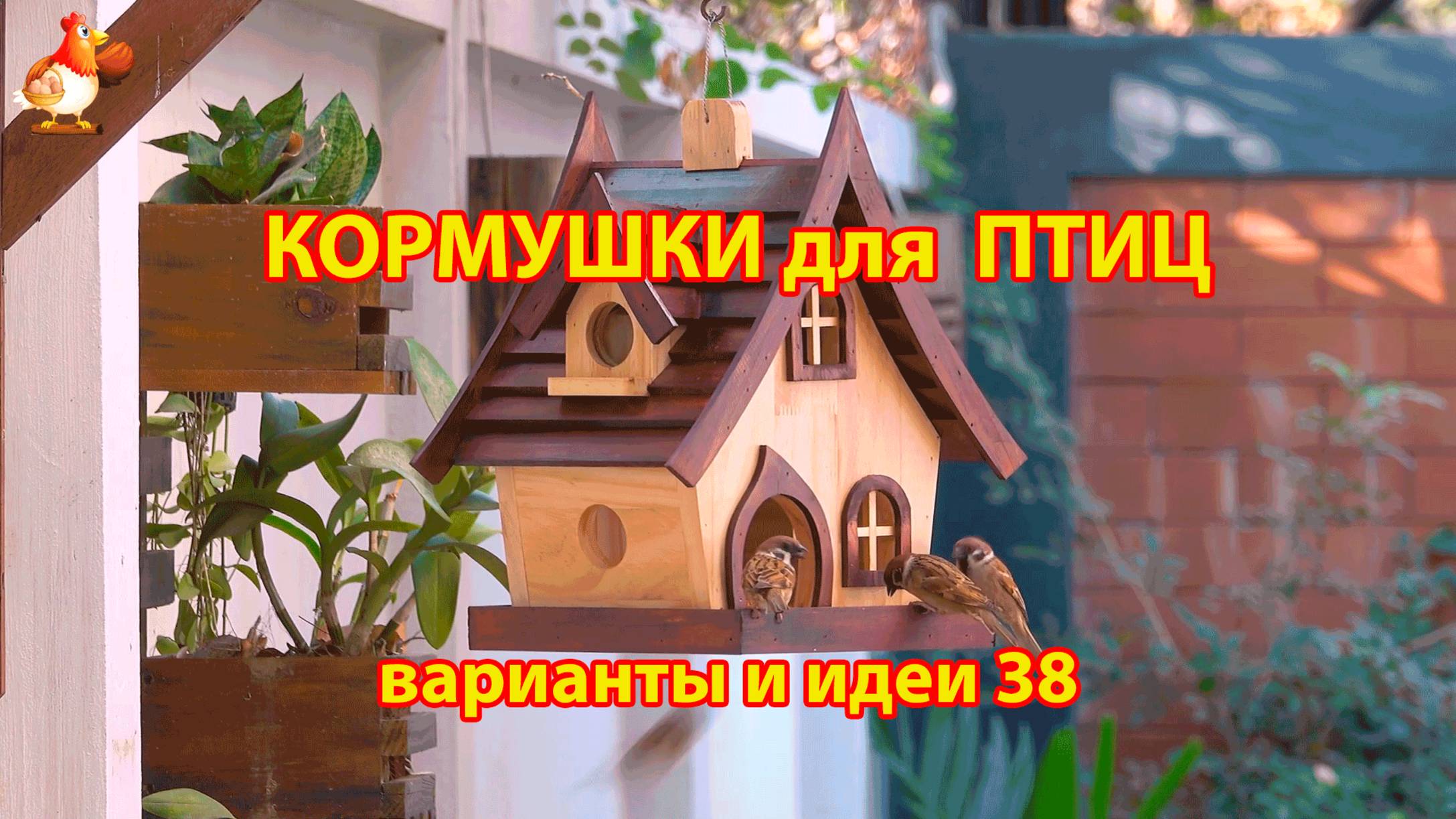 Кормушка для птиц своими руками как сделать пошагово  (38) 🪚🪛🔨 Идеи для дачи и сада❣️