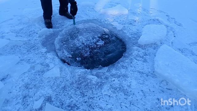 Зимняя прогулка и закаливание, или как не заболеть коронавирусом