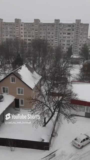 Снег... Бесконечный снег...