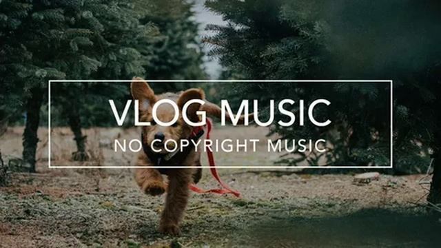 Vlog Music 8
