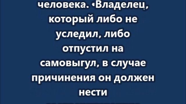 За агрессию собак хозяев будут сажать в тюрьму