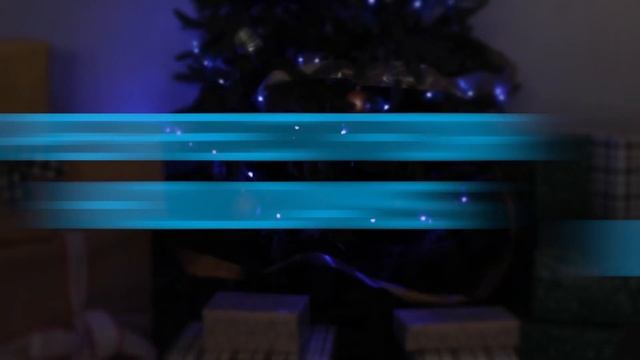 69281: Enbrighten Smart LED Wi-Fi Color-Changing String Lights - Overview