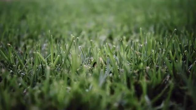 Gardena Smart System - Sose hagyd magára a kerted!