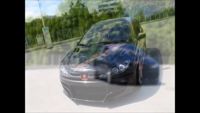 Peugeot 206 Tuning - Beginning to the End