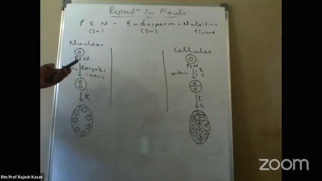 11 MAY 2020 HSC BIO REP IN PLANTS RK