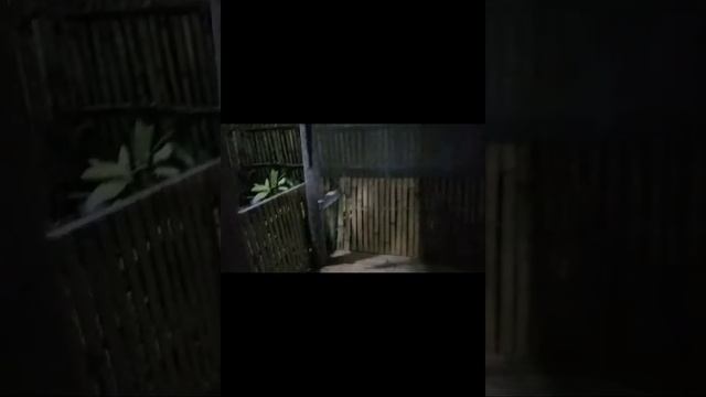 mini house tour sa bahay na Mini din  #asmr #trending @Mapainobsanon @Matnog Sorsogon