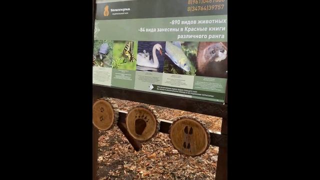Экологическая тропа "Таллы"