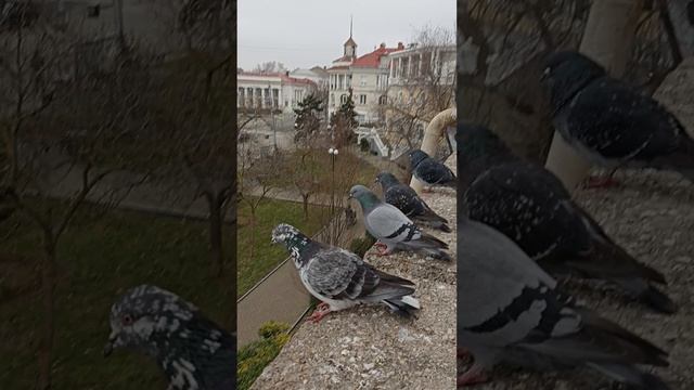 Один из туманных февральских дней в Екатерининском сквере
