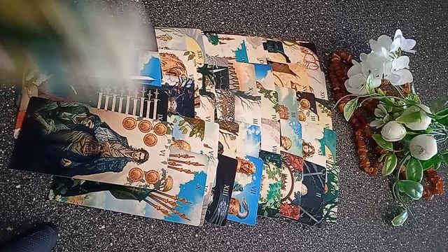 VID_20250227_103118.mp4