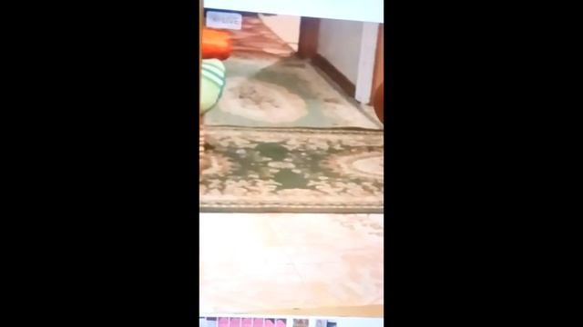 Смешные Коты и Кошки 2018 прикол. Котэ дал дёру!