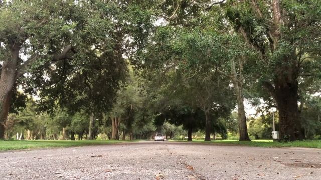 Mk1 Audi TT 225 Quattro rev and acceleration