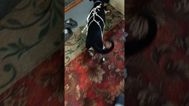 1000001816.mp4