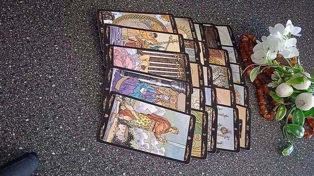 VID_20250227_142351.mp4