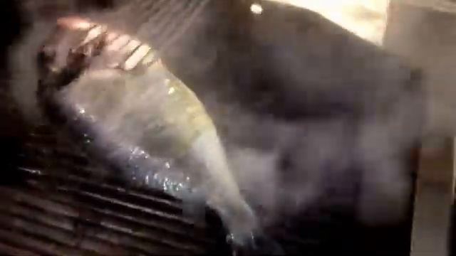 Дорадо гриль#море#вкусно#смотреть до конца